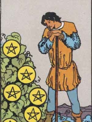Seven of Pentacles