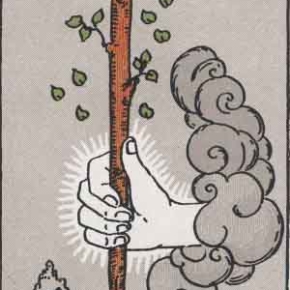 Ace of Wands