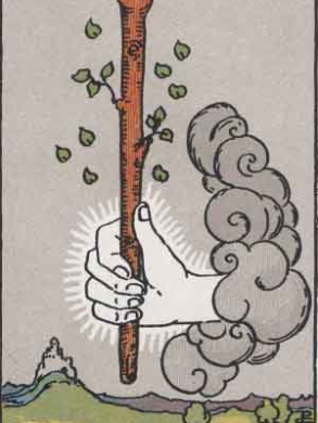 Ace of Wands